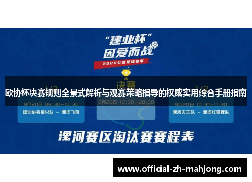 欧协杯决赛规则全景式解析与观赛策略指导的权威实用综合手册指南