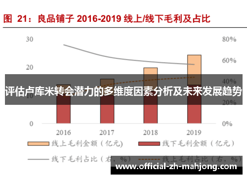 评估卢库米转会潜力的多维度因素分析及未来发展趋势